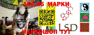 дурь Шелехов