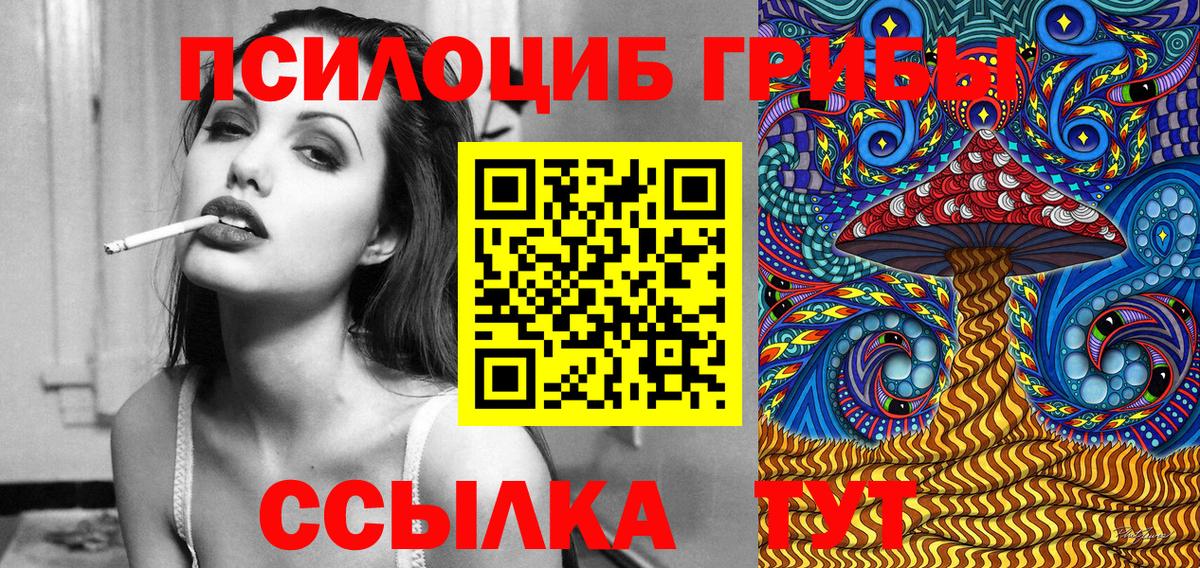 Галлюциногенные грибы Psilocybine cubensis Домодедово