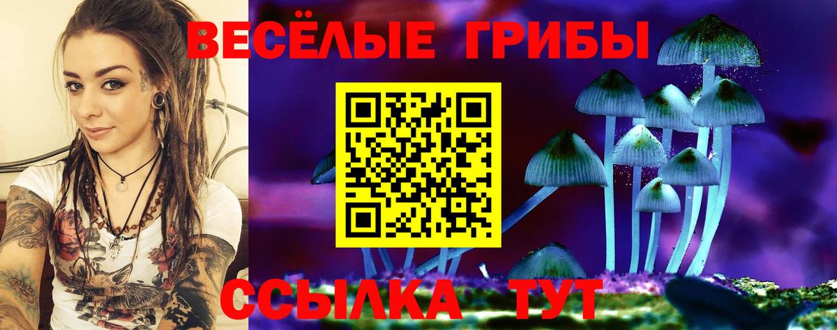 Галлюциногенные грибы Psilocybe  Псилоцибиновые грибы прущие грибы  Вход с VPN  Домодедово 